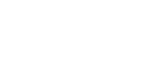 Verify Logo